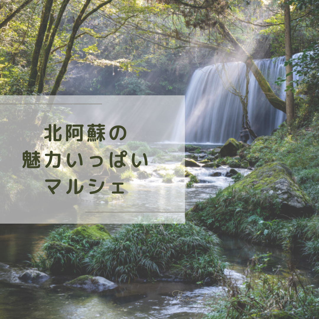 北阿蘇の魅力いっぱいマルシェ🌞🌳