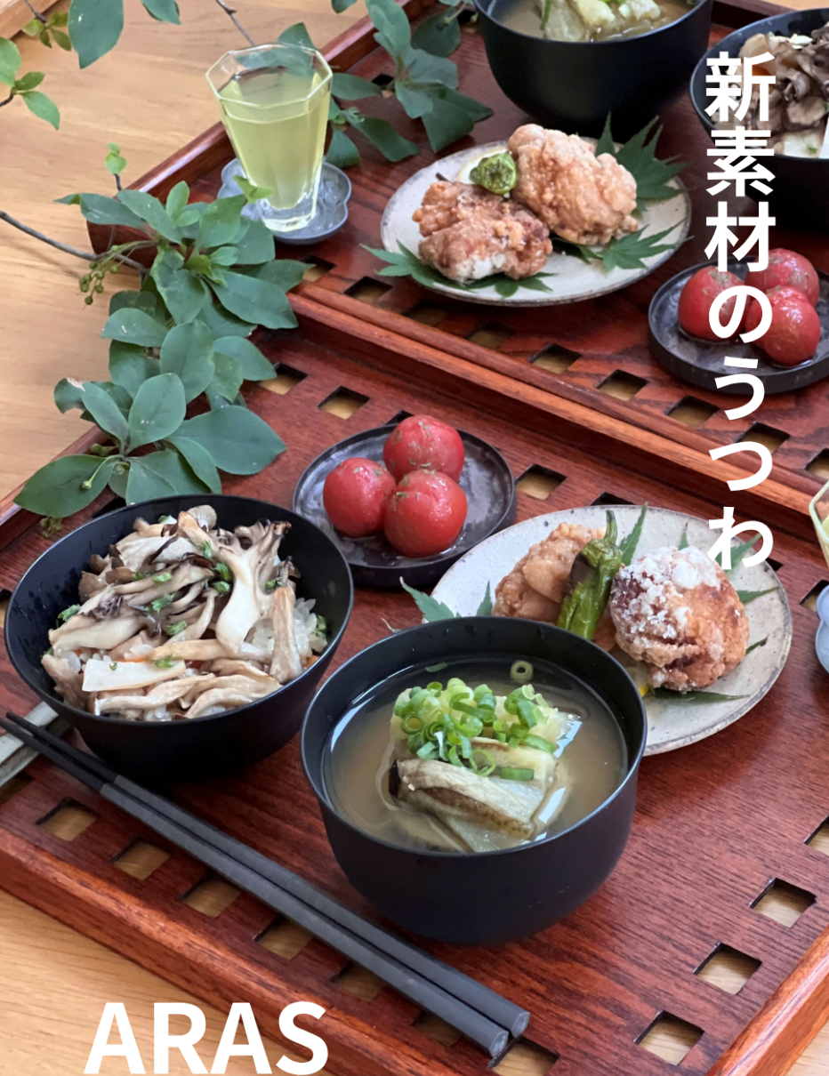 割れないお皿？！『ARAS』