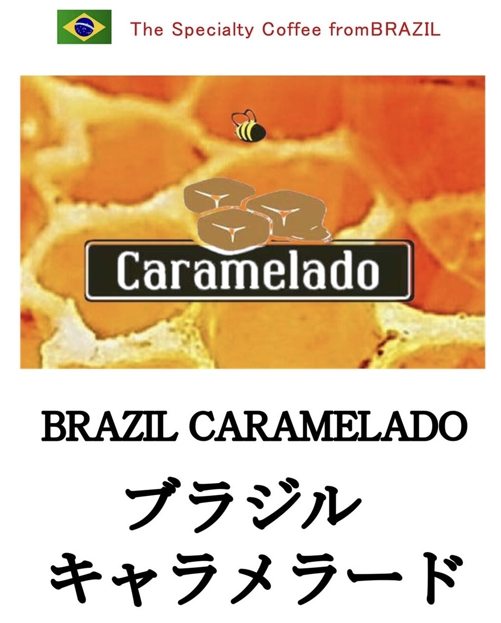 スペシャルティコーヒー ブラジル🇧🇷☕