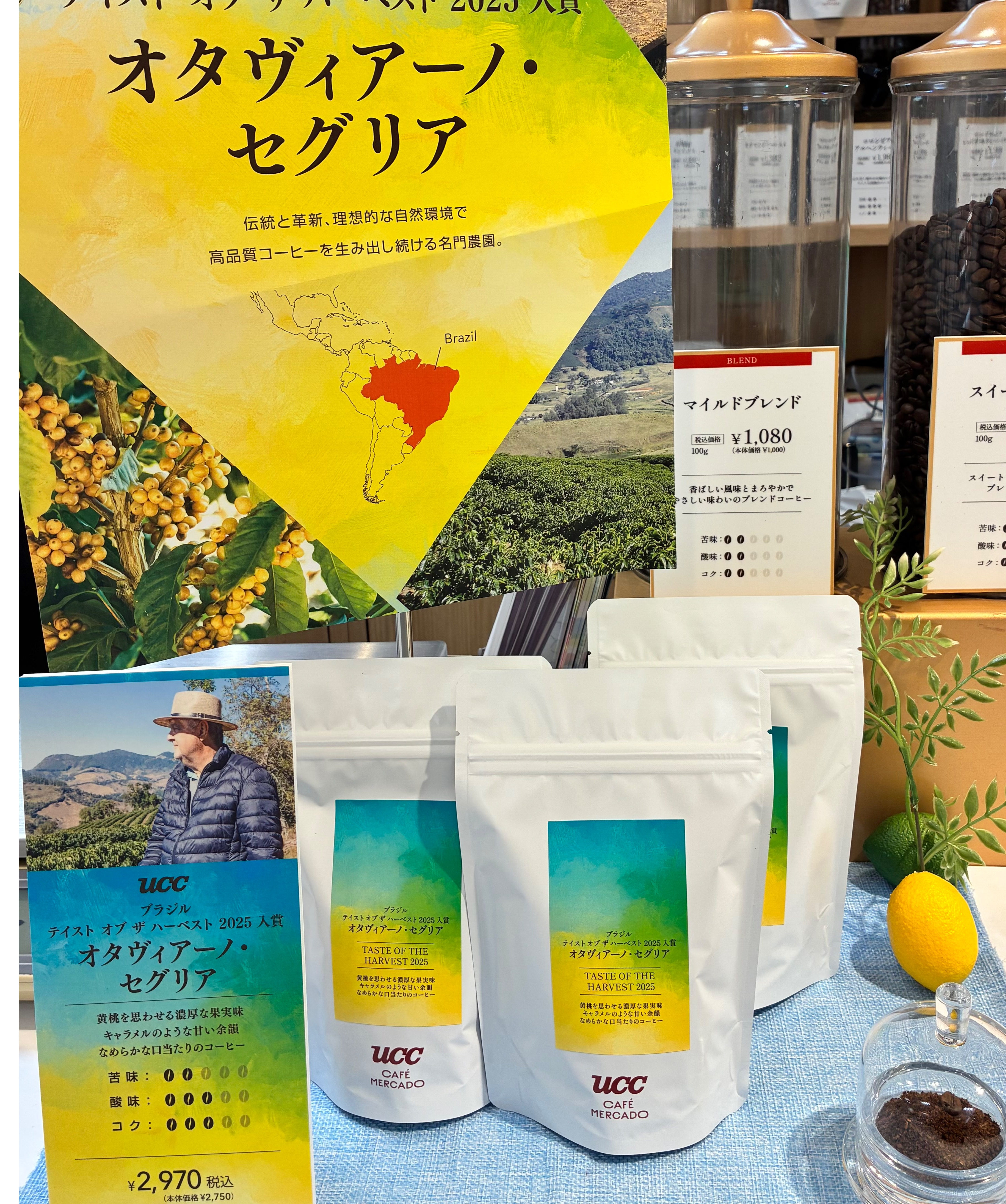 【UCC】高評価★★★ブラジルテイストオブザハーベスト入荷しました!!