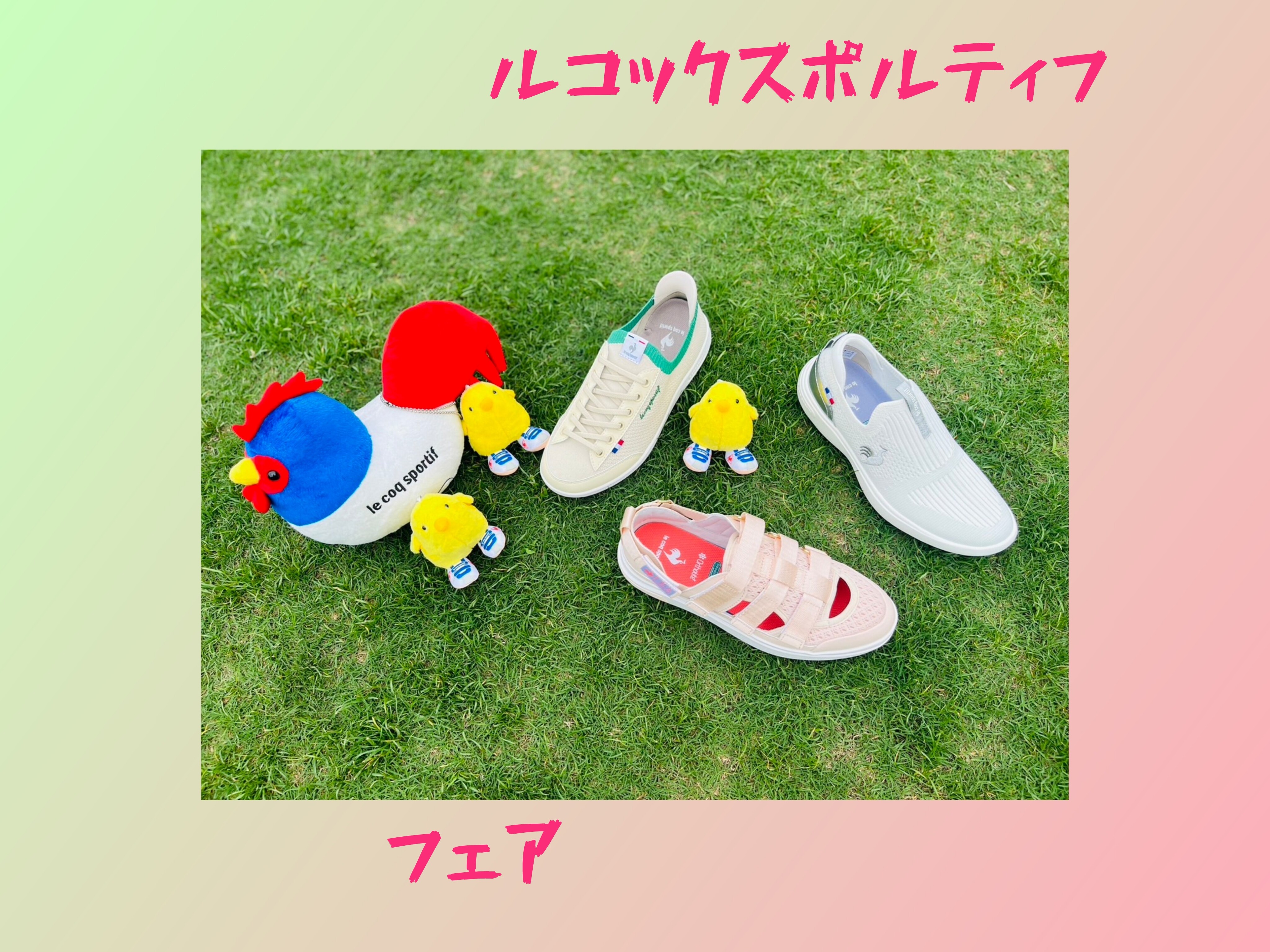 🐔ルコックスポルティフフェア🐤