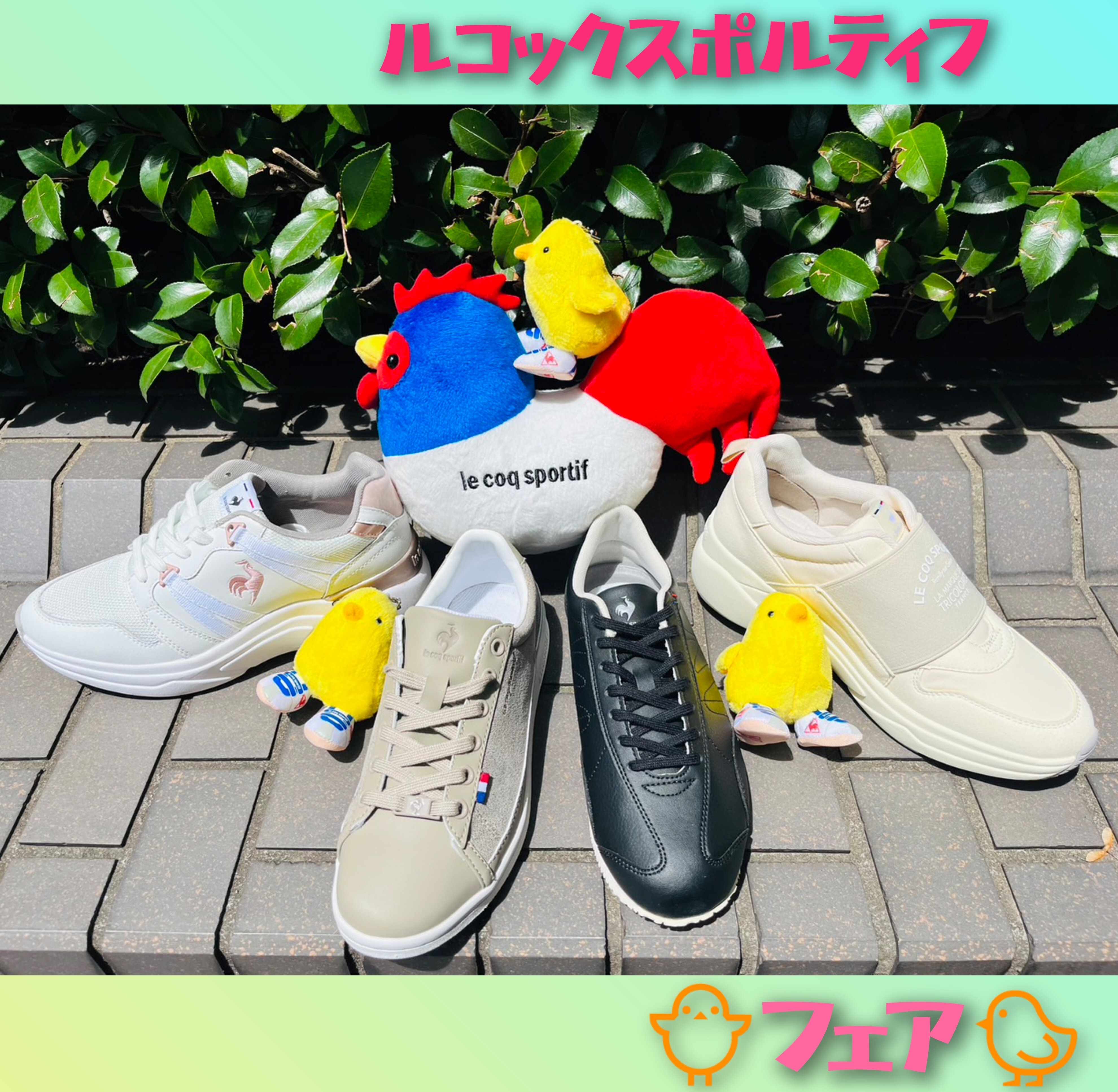 🐔ルコックスポルティフ🐤フェア🐤