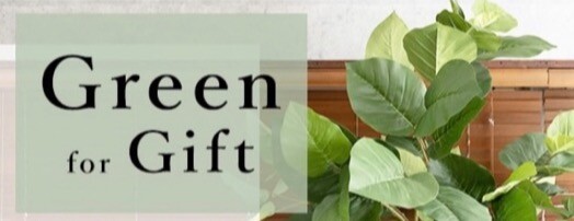🌿サスティナブルグリーン🌿