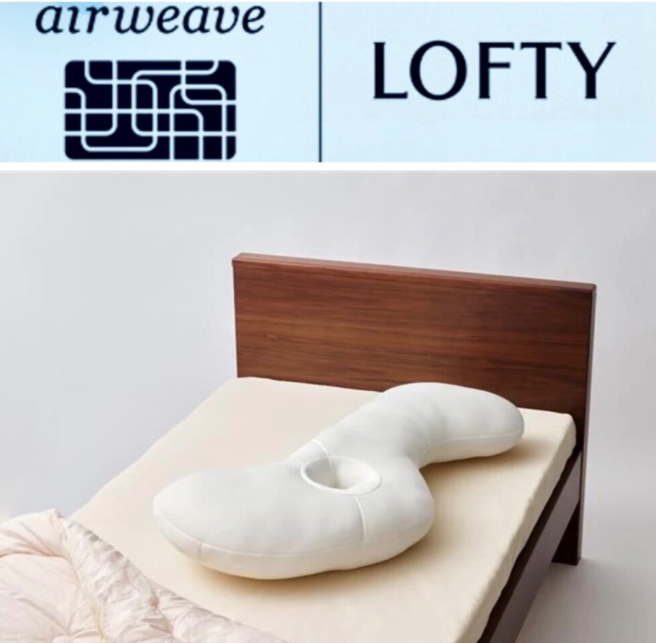 【ロフテー枕工房】商品紹介✨抱き枕 LBP-330