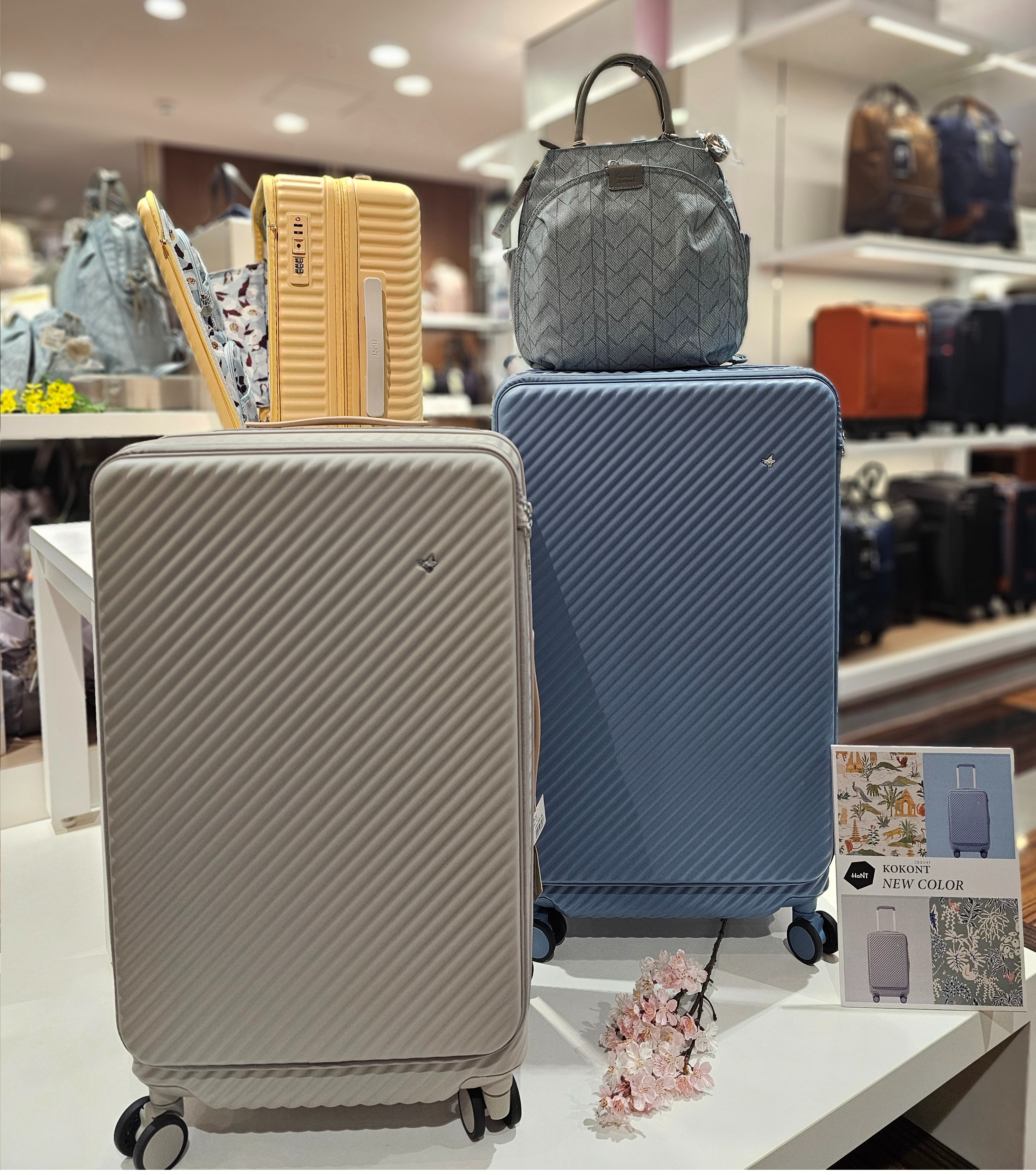 🌸春の新色登場🌸