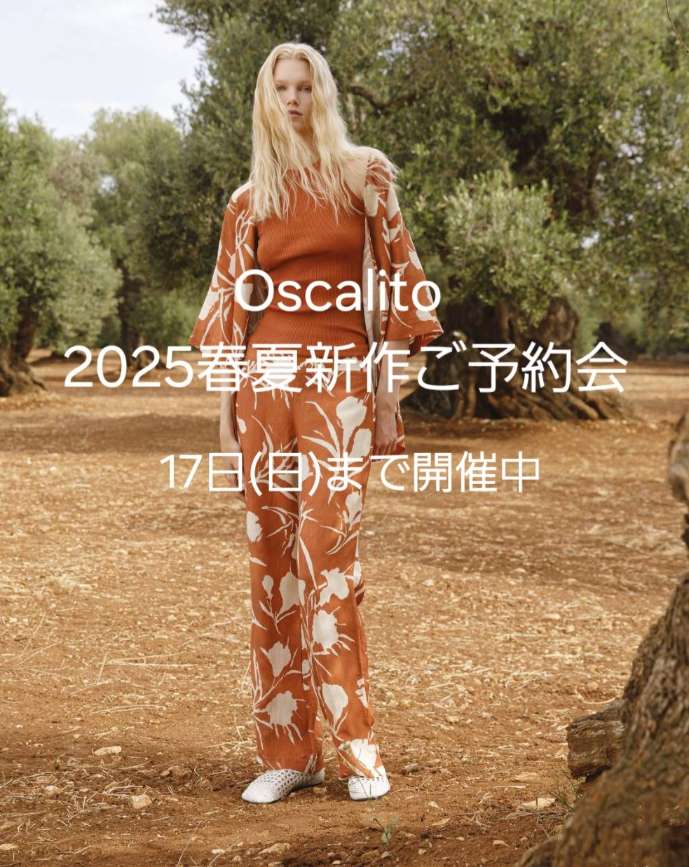 オスカリート2025春夏ご予約会開催中🍀