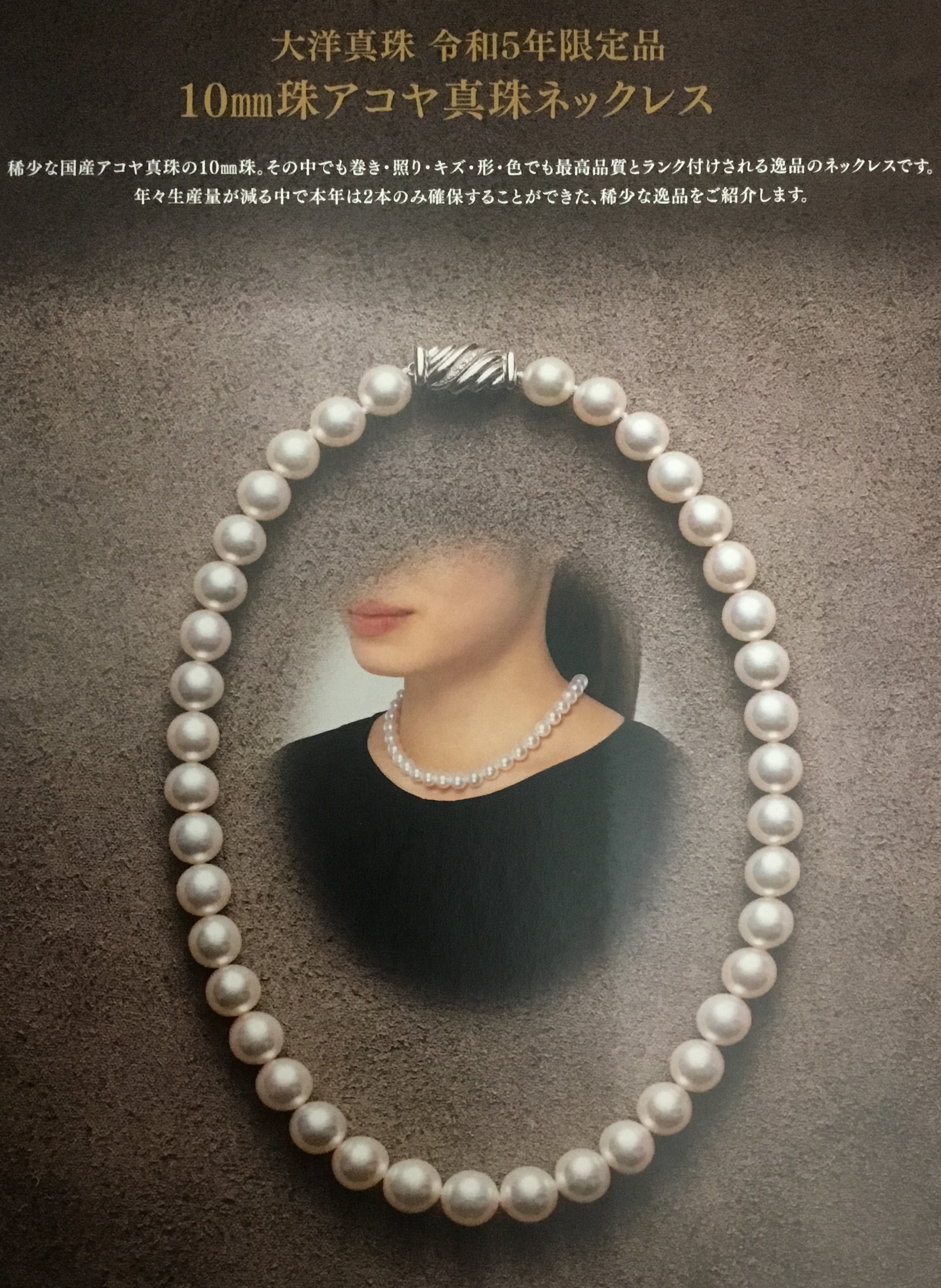 活動報告👓