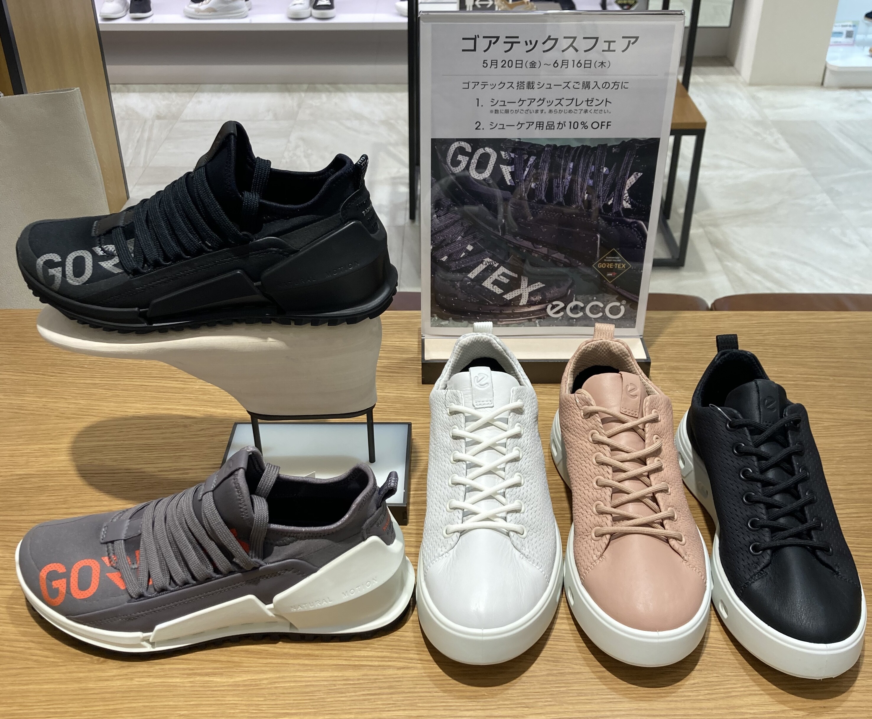 エコー　ゴアテックスフェア