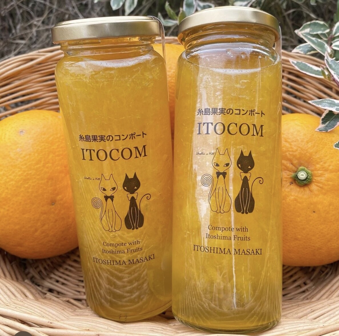 【人気商品🍊】甘夏コンポート