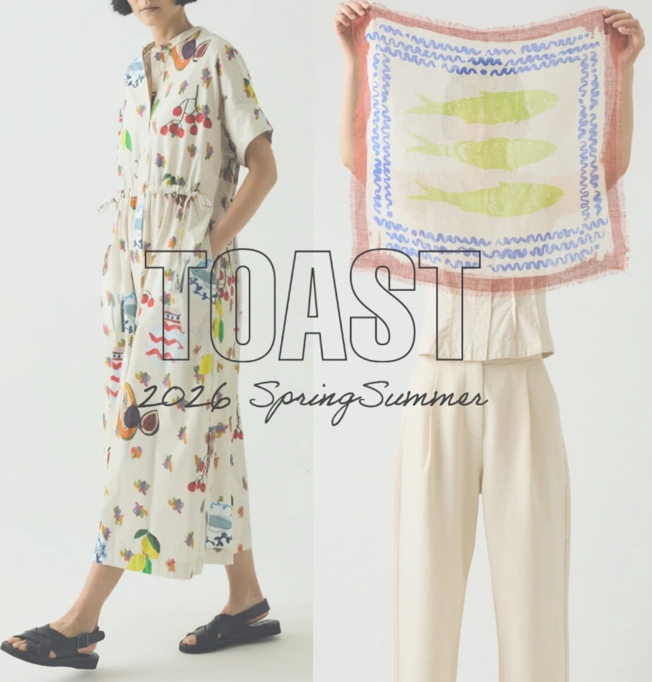 【アッシュ・ぺー・フランス】TOAST 2026 春夏コレクションが届きました!