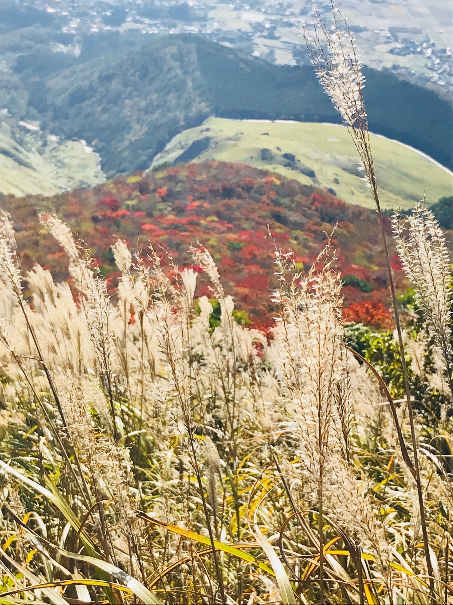 店内講習会のご案内。秋の登山デビュー♪