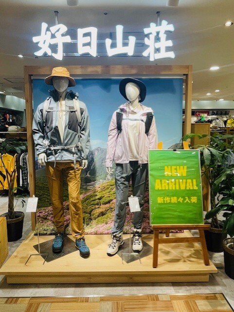 チェック！新作のご案内