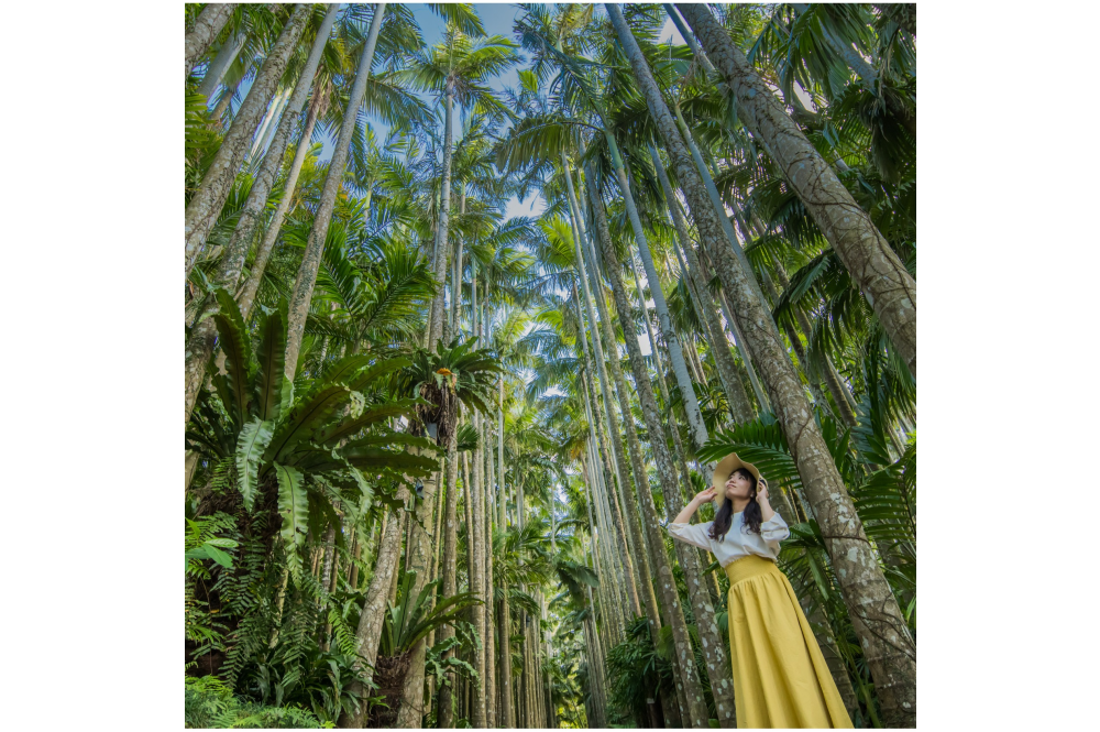 「美らヤシパークオキナワ・東南植物楽園」 日本1の観光地に選ばれた楽園で遊び尽くせ!