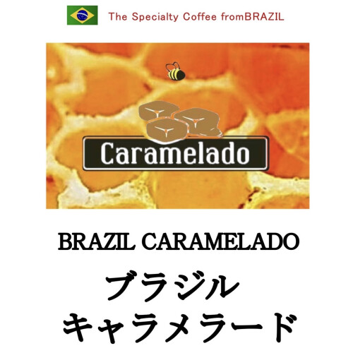 スペシャルティコーヒー ブラジル🇧🇷☕