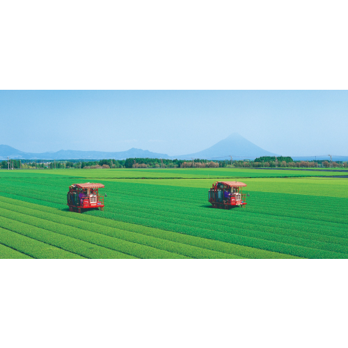 ☆前田園「新茶販売会」☆