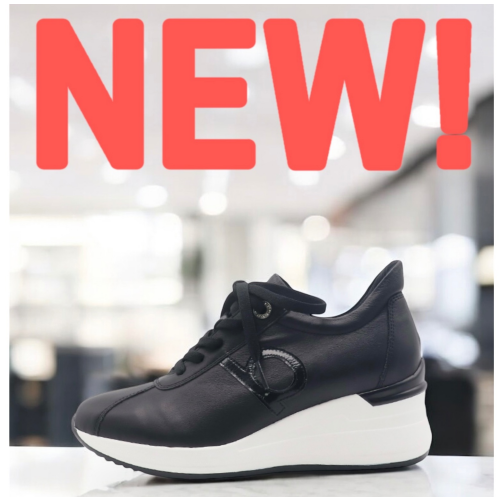 秋冬にオススメのスニーカー🎀