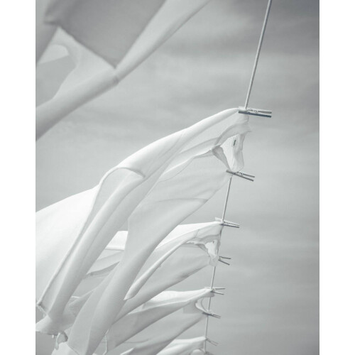 プランテーション【3月の新作商品】