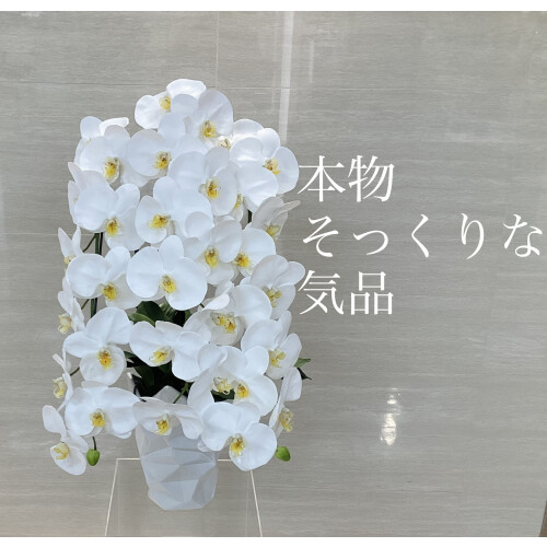 それは生花を超えていく✨リアルな胡蝶蘭新登場✨