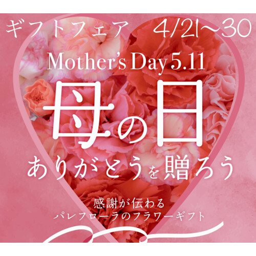 母の日にお花を贈ろう❣️ギフトフェア開催✨4/21(月)〜30(水)
