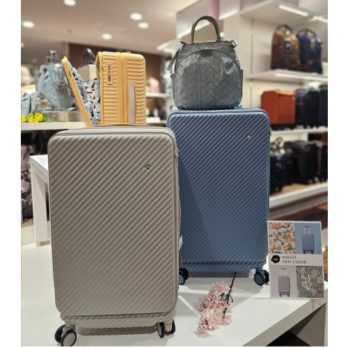 🌸春の新色登場🌸