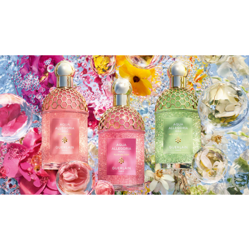 アクアアレゴリア ペルレ