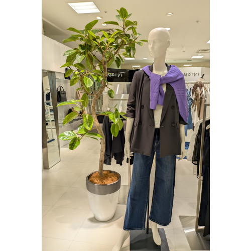 💛INDIVIのデニムスタイル💛