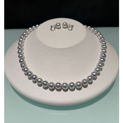 稀少✨ナチュラルカラーのアコヤパール✨特別価格にてご案内いたします🙌