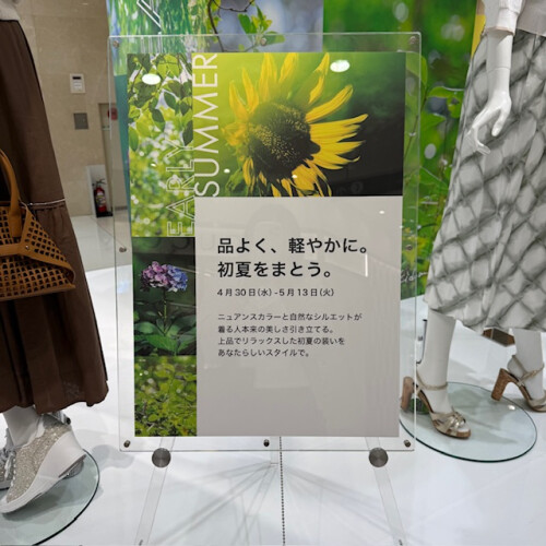 💐　Early    Summer　💐　　＜本１Ｆ　メイン　VP＞　　　　