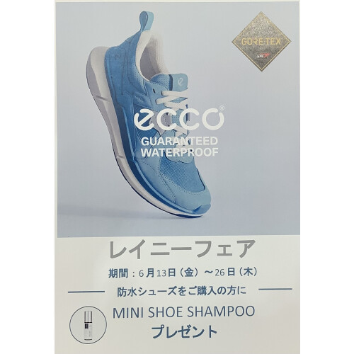 【 ECCO 】☔️レイニーフェア👟