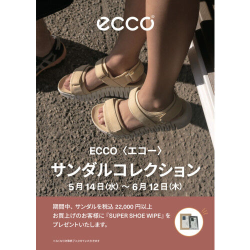 【 ECCO 】👡サンダルコレクション👡