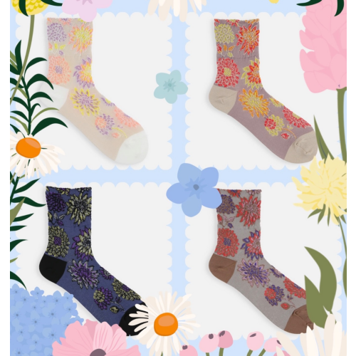 新商品のご紹介🌼