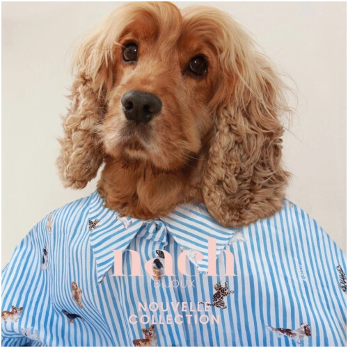 【アッシュ・ぺー・フランス】Nach 新作アクセサリーコレクション入荷