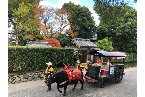 いずみ観光牛車