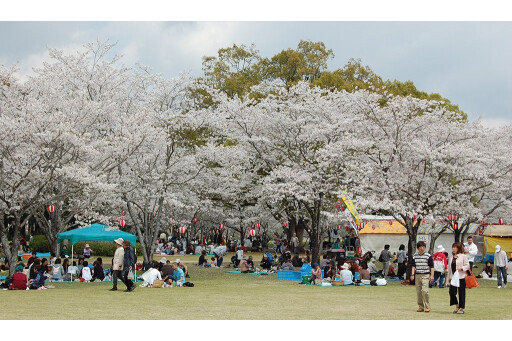 西都花まつり