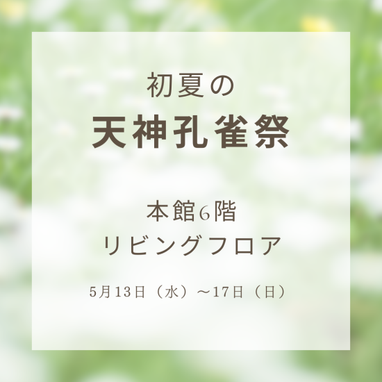 ꧁ 初夏の孔雀祭꧂本館6階 リビングフロア　商品情報！！