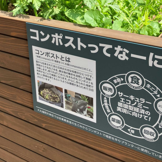 ゼロハナプロジェクト・天神LFCの皆さんと共同栽培をスタートしました