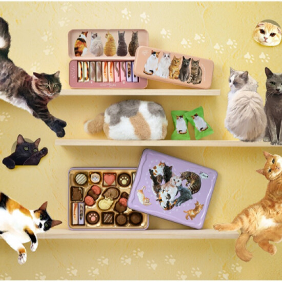 メリーチョコレート　ねこみゃみれ