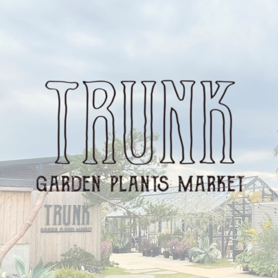 TRUNK GARDEN PLANTS MARKET期間限定POPUP SHOP