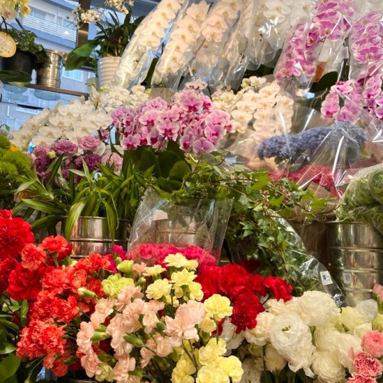 お祝いのお花や、プレゼントにも！