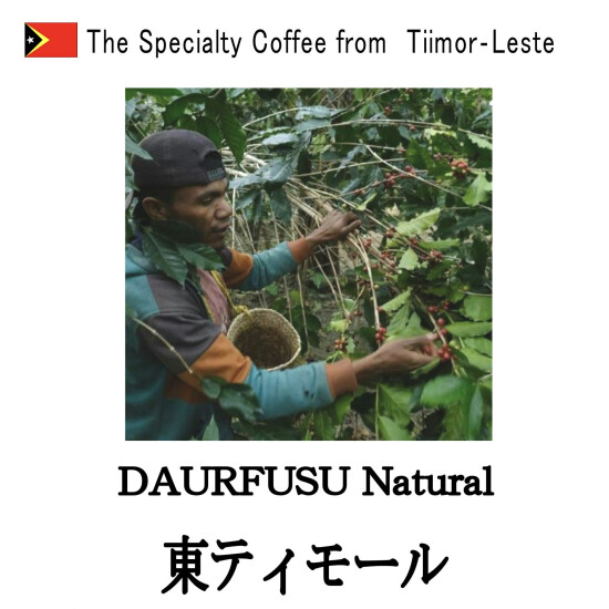 マンスリーコーヒーのご案内☕️