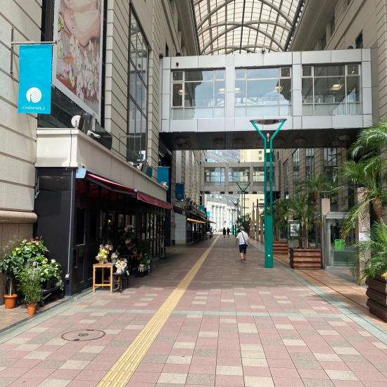 9月20日は敬老の日です❣️