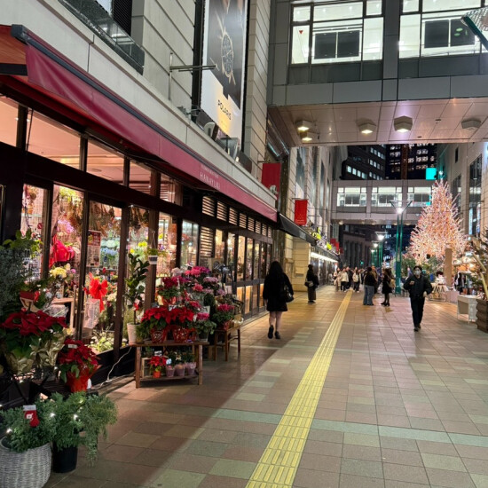 世の中X'mas🦌🛷🎅ムード一色🎄