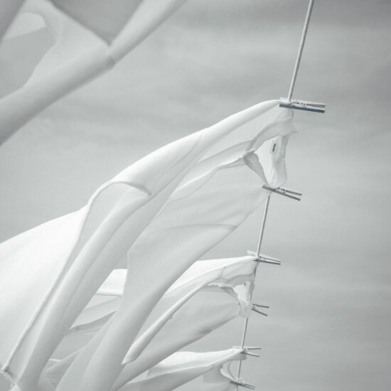 プランテーション【3月の新作商品】