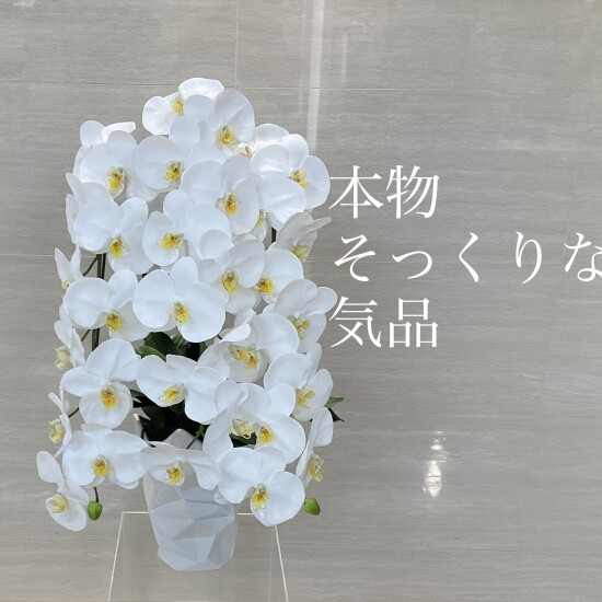 それは生花を超えていく✨リアルな胡蝶蘭新登場✨