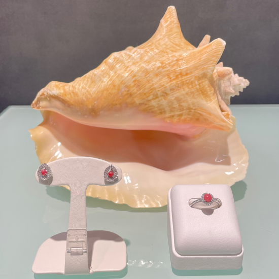 コンクパールの商品紹介の件🐚