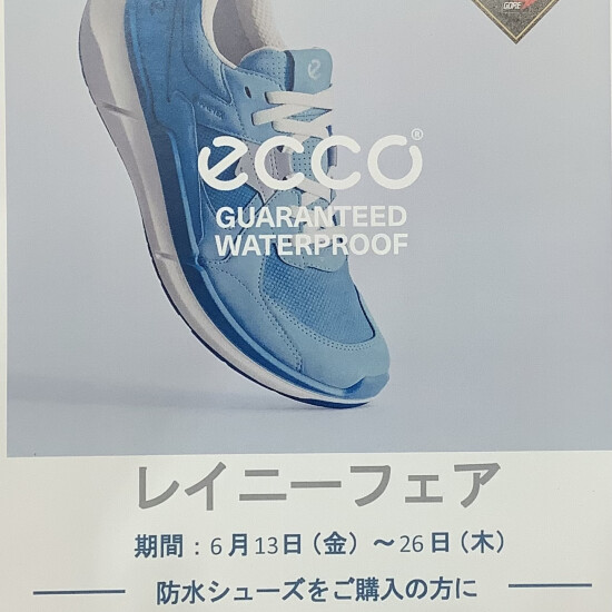 【 ECCO 】☔️レイニーフェア👟