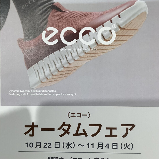 【ECCO】 オータムフェア🍂