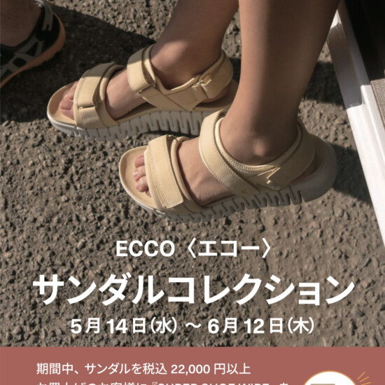 【 ECCO 】👡サンダルコレクション👡