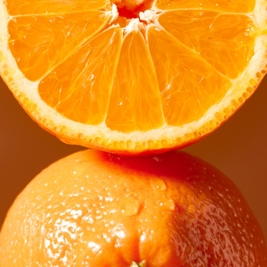 ヒロフ10%OFF新春優待＆新作のご案内