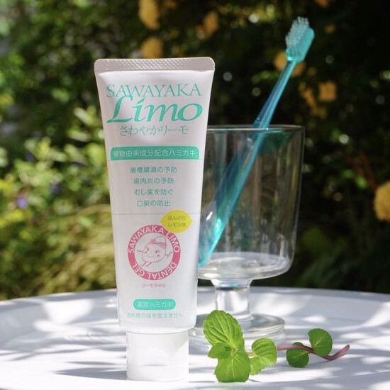 ほんのりレモン味の薬用歯磨き🍋